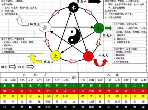 五行十神|八字五行与十神的关系 (十神的五行属性对照表)